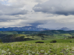 Clouds above grassy meadow and San Juan Mountains
Telluride, Colorado, USA