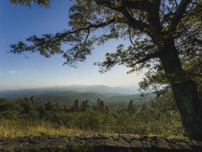 Trees and mountains with old stone wall in foreground
Floyd, Virginia, USA