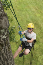 Teenage boy (16-17) tree climbing
Meadows of Dan, Virginia, USA