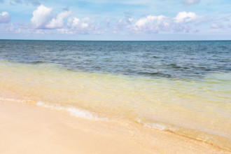 Calm sea waves on sandy beach
Rose Hall, Montego Bay, Jamaica