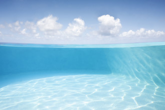 Infinity pool with turquoise water by Caribbean Sea
St. John, US Virgin Islands, USA