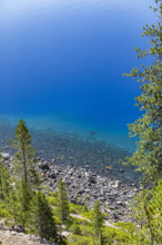 USA, Oregon, Pebbles and trees on shore of Crater Lake