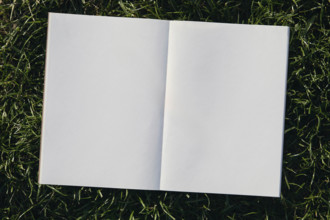 Overhead view of open notebook with blank pages on grass