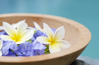 Tropical flower petals in wooden bowl