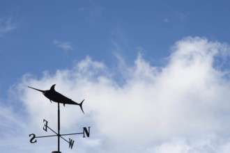 Weathervane against white puffy clouds