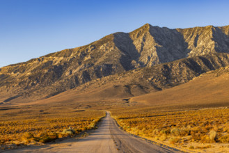 USA, California, Lone Pine, Dirt road leading to barren mountains