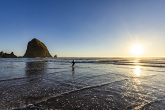USA, Oregon, Cannon Beach, Woman wading in surf near haystack rock at sunset