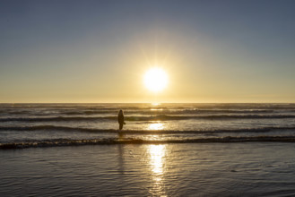 USA, Oregon, Cannon Beach, Rear view of woman standing in ocean at sunset
