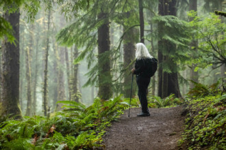 USA, Oregon, Cannon Beach, Senior female hiker on coastal trail through redwood forest