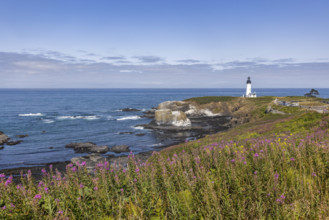 USA, Oregon, Newport, Lighthouse at Yaquina Head Outstanding Natural Area