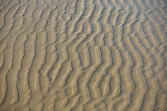 Sand patterns on beach