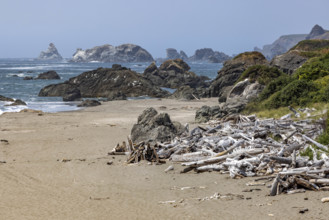 USA, Oregon, Brookings, Driftwood on empty rocky beach
