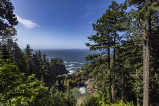 USA, Oregon, Brookings, Natural bridges formation on Oregon Coast