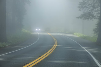 USA, Oregon, Brookings, Highway 1 leading through redwood forests on fog