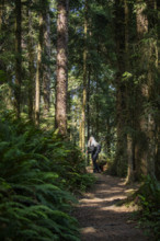 USA, Oregon, Brookings, Portrait of senior blonde hiker on coastal trail