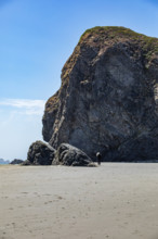 USA, Oregon, Brookings, Rear view of woman walking by huge rocks on Oregon beach