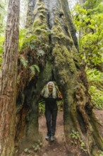 USA, California, Crescent City, Portrait of smiling of female hiker in redwood forest