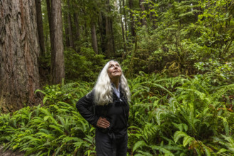 USA, California, Crescent City, Female hiker looking up in redwood forest