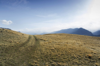 USA, Wyoming, Cody, Carter Mountain, Washakie Wilderness, Wyoming , USA