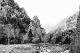 USA, Wyoming, Cody, Cabin Creek, near the Continental Divide, Wyoming, USA