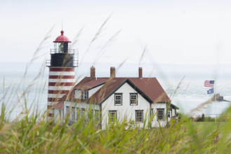 USA, Maine, Lubec, West Quoddy Head Lighthouse with grass in foreground