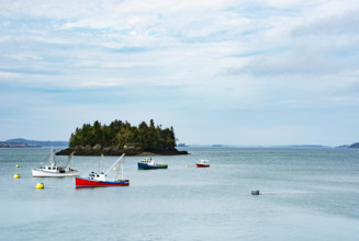 USA, Maine, Lubec, Fishing boats anchored on Johnson Bay