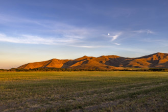 USA, Idaho, Bellevue, Field and hills at sunset