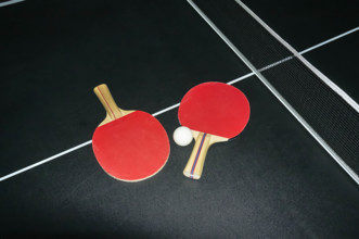 Ping Pong ball and pair of red paddles