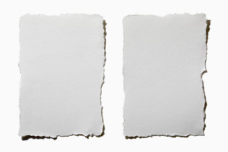 Two pieces of torn paper on white background