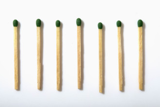 Row of matchsticks on white background