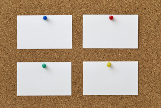 Blank pieces of paper attached to cork board with colorful push pins
