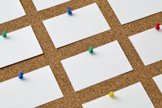 Blank pieces of paper attached to cork board with colorful push pins