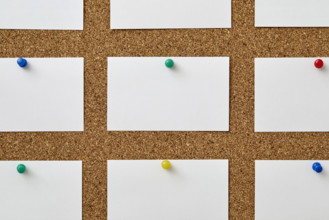 Blank pieces of paper attached to cork board with colorful push pins
