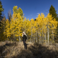 Portrait of smiling woman in autumn landscape