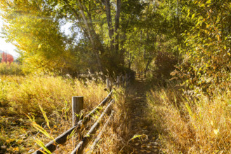 USA, Idaho, Bellevue, Footpath in rural landscape on sunny autumn day