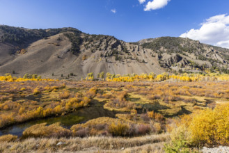 USA, Idaho, Sun Valley, Beaver Ponds along Trail Creek in autumn