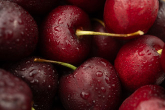 Close-up of fresh, dark cherries with water drops
