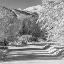 USA, Idaho, Bellevue, Empty country road and trees covered with snow, black and white