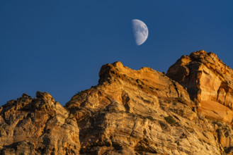 USA, Utah, Springdale, Half moon rising above sandstone cliffs near Zion National Park