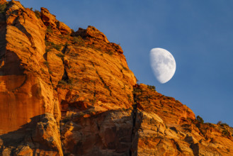 USA, Utah, Springdale, Half moon rising above sandstone cliffs near Zion National Park