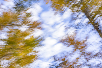 Low angle view of trees against sky in autumn motion blur