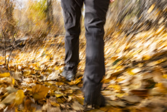 Legs of female hiker walking on trail in autumn