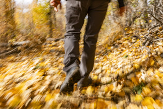 Legs of female hiker walking on trail in autumn