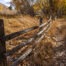 Wooden fence along rural path in autumn