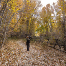 USA, Idaho, Bellevue, Rear view of woman on footpath in forest in autumn