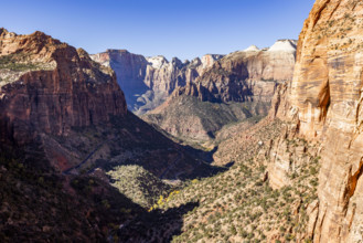 USA, Utah, Zion National Park, Zion Canyon on sunny day