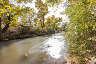 USA, Utah, Springdale, Virgin River and trees on sunny day, motion blur