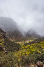 USA, Utah, Zion National Park, Gray clouds covering Zion Canyon during snowstorm