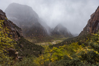 USA, Utah, Zion National Park, Gray clouds covering Zion Canyon during snowstorm