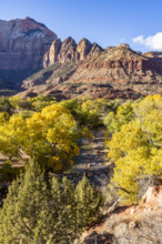 USA, Utah, Springdale, Virgin River near trees and rock formations on sunny day